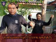 ดับเพลิงออกจับงูเข้าบ้านประชาชน ชุมชนสันต้นปิน