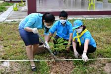 โรงเรียนเทศบาลเฉลิมพระเกียรติฯ ร่วมปลูกต้นไม้ เนื่องในวโรกาสวันเฉลิมพระชนมพรรษาสมเด็จพระนางเจ้าสิริกิติ์พระบรมราชินีนาถ พระบรมราชชนนีพันปีหลวง