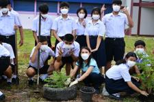 โรงเรียนเทศบาลเฉลิมพระเกียรติฯ ร่วมปลูกต้นไม้ เนื่องในวโรกาสวันเฉลิมพระชนมพรรษาสมเด็จพระนางเจ้าสิริกิติ์พระบรมราชินีนาถ พระบรมราชชนนีพันปีหลวง