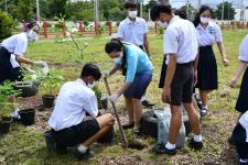 โรงเรียนเทศบาลเฉลิมพระเกียรติฯ ร่วมปลูกต้นไม้ เนื่องในวโรกาสวันเฉลิมพระชนมพรรษาสมเด็จพระนางเจ้าสิริกิติ์พระบรมราชินีนาถ พระบรมราชชนนีพันปีหลวง