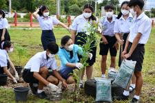 โรงเรียนเทศบาลเฉลิมพระเกียรติฯ ร่วมปลูกต้นไม้ เนื่องในวโรกาสวันเฉลิมพระชนมพรรษาสมเด็จพระนางเจ้าสิริกิติ์พระบรมราชินีนาถ พระบรมราชชนนีพันปีหลวง