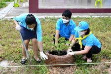 โรงเรียนเทศบาลเฉลิมพระเกียรติฯ ร่วมปลูกต้นไม้ เนื่องในวโรกาสวันเฉลิมพระชนมพรรษาสมเด็จพระนางเจ้าสิริกิติ์พระบรมราชินีนาถ พระบรมราชชนนีพันปีหลวง