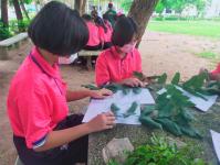 โรงเรียนเทศบาลวัดดอนแก้ว จัดโครงการกิจกรรมพัฒนาผู้เรียนกลุ่มสาระวิทยาศาสตร์และเทคโนโลยี STEM ศึกษา ระดับชั้นมัธยมศึกษาปีที่ 1-3