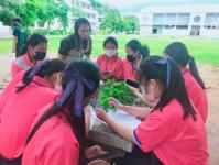 โรงเรียนเทศบาลวัดดอนแก้ว จัดโครงการกิจกรรมพัฒนาผู้เรียนกลุ่มสาระวิทยาศาสตร์และเทคโนโลยี STEM ศึกษา ระดับชั้นมัธยมศึกษาปีที่ 1-3