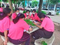 โรงเรียนเทศบาลวัดดอนแก้ว จัดโครงการกิจกรรมพัฒนาผู้เรียนกลุ่มสาระวิทยาศาสตร์และเทคโนโลยี STEM ศึกษา ระดับชั้นมัธยมศึกษาปีที่ 1-3