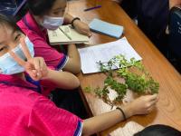 โรงเรียนเทศบาลวัดดอนแก้ว จัดโครงการกิจกรรมพัฒนาผู้เรียนกลุ่มสาระวิทยาศาสตร์และเทคโนโลยี STEM ศึกษา ระดับชั้นมัธยมศึกษาปีที่ 1-3