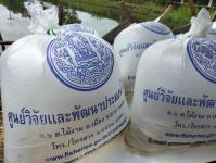 โครงการปล่อยมัจฉาคืนสู่วารี