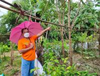 งานพัฒนาชุมชน ลงพื้นที่ชุมชน เพื่อสำรวจสมาชิกในชุมชนที่ยึดหลักตามโครงการน้อมนำแนวพระราชดำริของ สมเด็จพระกนิษฐาธิราชเจ้า กรมสมเด็จพระเทพรัตนราชสุดาฯ