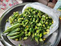 งานพัฒนาชุมชน ลงพื้นที่ชุมชน เพื่อสำรวจสมาชิกในชุมชนที่ยึดหลักตามโครงการน้อมนำแนวพระราชดำริของ สมเด็จพระกนิษฐาธิราชเจ้า กรมสมเด็จพระเทพรัตนราชสุดาฯ