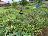 งานพัฒนาชุมชน ลงพื้นที่ชุมชน เพื่อสำรวจสมาชิกในชุมชนที่ยึดหลักตามโครงการน้อมนำแนวพระราชดำริของ สมเด็จพระกนิษฐาธิราชเจ้า กรมสมเด็จพระเทพรัตนราชสุดาฯ