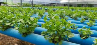 งานพัฒนาชุมชน ลงพื้นที่ชุมชน เพื่อสำรวจสมาชิกในชุมชนที่ยึดหลักตามโครงการน้อมนำแนวพระราชดำริของ สมเด็จพระกนิษฐาธิราชเจ้า กรมสมเด็จพระเทพรัตนราชสุดาฯ