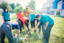 กองการศึกษาร่วมกิจกรรมวันรักต้นไม้ประจำปีของชาติ พ.ศ. 2565