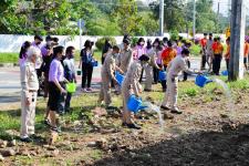 เทศบาลนครแม่สอดจัดกิจกรรมหว่านเมล็ดพันธุ์ถั่วบราซิล 