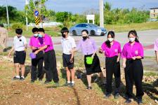 เทศบาลนครแม่สอดจัดกิจกรรมหว่านเมล็ดพันธุ์ถั่วบราซิล 