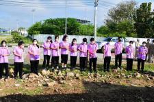 เทศบาลนครแม่สอดจัดกิจกรรมหว่านเมล็ดพันธุ์ถั่วบราซิล 