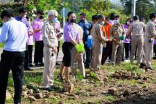 เทศบาลนครแม่สอดจัดกิจกรรมหว่านเมล็ดพันธุ์ถั่วบราซิล 