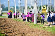 เทศบาลนครแม่สอดจัดกิจกรรมหว่านเมล็ดพันธุ์ถั่วบราซิล 