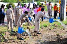 เทศบาลนครแม่สอดจัดกิจกรรมหว่านเมล็ดพันธุ์ถั่วบราซิล 