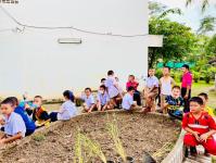 โรงเรียนเทศบาลวัดดอนแก้ว จัดกิจกรรมเก็บเกี่ยวและบริหารจัดการข้าวนาอินทรีย์ ระดับมัธยมศึกษาปีที่ 1-3  ประจำปีการศึกษา 2565