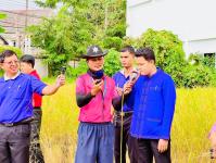 โรงเรียนเทศบาลวัดดอนแก้ว จัดกิจกรรมเก็บเกี่ยวและบริหารจัดการข้าวนาอินทรีย์ ระดับมัธยมศึกษาปีที่ 1-3  ประจำปีการศึกษา 2565