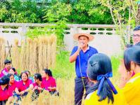 โรงเรียนเทศบาลวัดดอนแก้ว จัดกิจกรรมเก็บเกี่ยวและบริหารจัดการข้าวนาอินทรีย์ ระดับมัธยมศึกษาปีที่ 1-3  ประจำปีการศึกษา 2565