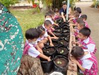 ศูนย์พัฒนาเด็กเล็กโรงเรียนเทศบาลวัดดอนแก้ว จัดกิจกรรมหนูน้อยปลูกผักสวนครัว ประจำปีการศึกษา 2565