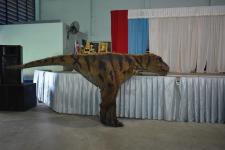 โรงเรียนเทศบาลวัดชุมพลคีรี และศูนย์การค้าโรบินสันไลฟ์สไตล์แม่สอด ร่วมจัดกิจกรรมไดโนเสาร์ออนทัวร์ (Dinosaur on Tour)