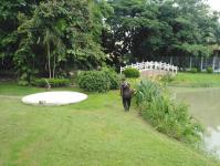 กองช่างเทศบาลนครแม่สอดปรับภูมิทัศน์หน้าป้ายรัชกาลที่10