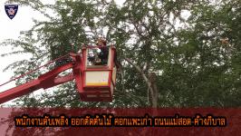 ดับเพลิงเเม่สอดตัดต้นไม้ คอกเเพะเก่า ถนนเเม่สอด-ค้างภิบาล