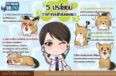 อกพื้นที่ให้บริการฉีดวัคซีนป้องกันโรคพิษสุนัขบ้า