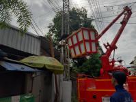 ดับเพลิงเเม่สอด ร่วมกองช่าง ออกตัดต้นไม้หน้าโลตัสเล็ก