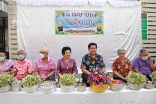 งานวันผู้สูงอายุเทศบาลนครแม่สอด ประจำปี 2566