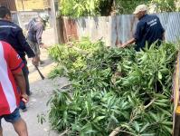 ลงพื้นที่รับคำร้องเบื้องต้นกรณีครัวเรือนได้รับความเสียหาย จากเหตุวาตภัย เพื่อวางแผนให้ความช่วยเหลือตามภารกิจศูนย์ช่วยเหลือประชาชนเทศบาลนครแม่สอดต่อไป