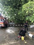 ดับเพลิงนครแม่สอด ออกตัดกิ่งไม้พาดผ่านสายไฟฟ้า บริเวณศูนย์การแสดงสินค้า OTOP