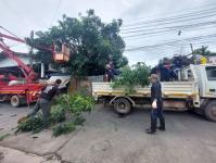 ดับเพลิงนครแม่สอด ออกตัดต้นไม้หน้าบ้านประชาชน ชุมชนร่วมใจ