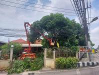 ดับเพลิงนครแม่สอด ออกตัดต้นไม้หน้าบ้านประชาชน ชุมชนร่วมใจ