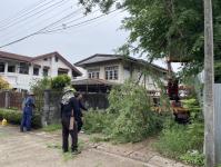 ดับเพลิงนครแม่สอด ออกตัดต้นไม้หน้าบ้านประชาชน ถนนเยลลี่อุทิศ