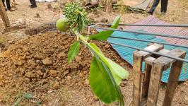 ปราชญ์ชาวบ้าน