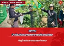 ดับเพลิงนครแม่สอด ออกจับงูบ้านประชาชน ชุมชนร่วมแรง