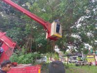 ดับเพลิงนครแม่สอด ออกตัดต้นไม้พาดผ่านสายไฟฟ้า บริเวณบ้านสิงโตรีสอร์ท