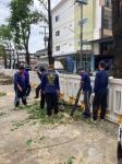 ดับเพลิงนครแม่สอด  ออกตัดต้นไม้หน้า โรงพยาบาลแม่สอด-ราม