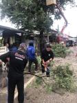 ดับเพลิงนครแม่สอด ออกตัดต้นไม้(มะขาม) ใกล้โรงเรียนแม่สอด