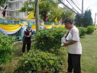 งานสวนสาธารณะ ได้ตัดหญ้าและตัดแต่งต้นไม้บริเวณสำนักงานฯ