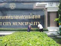 งานสวนสาธารณะ ได้ตัดหญ้าและตัดแต่งต้นไม้บริเวณสำนักงานฯ