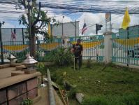 งานสวนสาธารณะ ได้ตัดหญ้าและตัดแต่งต้นไม้บริเวณสำนักงานฯ