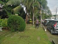 งานสวนสาธารณะ ได้ตัดหญ้าและตัดแต่งต้นไม้บริเวณสำนักงานฯ