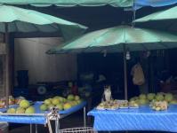 งานเทศกิจนครแม่สอด ออกตรวจความเรียบร้อยและจัดระเบียบตลาดเทศบาลนครแม่สอด 14 ก.ย.2566