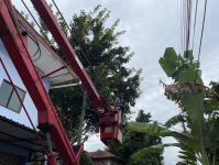 ดับเพลิงแม่สอด ออกกำจัดรังผึ้งบ้านประชาชน ชุมชนร่วมแรง