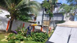 ดับเพลิงแม่สอด ออกตัดต้นไม้แนวสายไฟฟ้า บริเวณหลัง บริษัท AIA