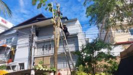 ดับเพลิงแม่สอด ออกตัดต้นไม้แนวสายไฟฟ้า บริเวณหลัง บริษัท AIA